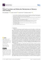 Neural Correlates and Molecular Mechanisms of Memory and Learning