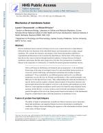Mechanics of membrane fusion