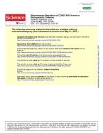 Photoreceptor Regulation of CONSTANS Protein in Photoperiodic Flowering