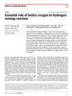 Essential role of lattice oxygen in hydrogen sensing reaction