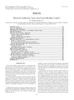 Bacterial Adhesion: Seen Any Good Biofilms Lately?