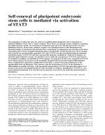 Self-renewal of pluripotent embryonic stem cells is mediated via activation of STAT3