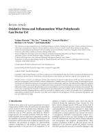 Oxidative Stress and Inflammation: What Polyphenols Can Do for Us?
