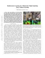 Reinforcement Learning for Collision-free Flight Exploiting Deep Collision Encoding