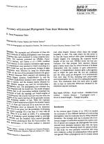 Accuracy of Estimated Phylogenetic Trees from Molecular Data
