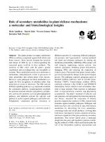 Role of secondary metabolites in plant defense mechanisms: a molecular and biotechnological insights