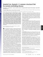 Amyloid ion channels: A common structural link for protein-misfolding disease