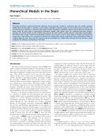 Hierarchical Models in the Brain