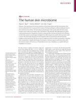 The human skin microbiome