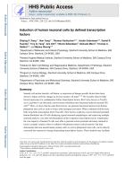Induction of human neuronal cells by defined transcription factors