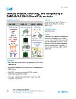 Immune evasion, infectivity, and fusogenicity of SARS-CoV-2 BA.2.86 and FLip variants