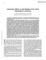 Adrenergic Effects on the Biology of the Adult Mammalian Cardiocyte