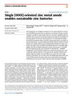 Single [0001]-oriented zinc metal anode enables sustainable zinc batteries