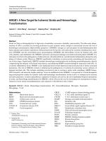 HMGB1: A New Target for Ischemic Stroke and Hemorrhagic Transformation
