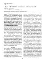 A global budget for fine root biomass, surface area, and nutrient contents