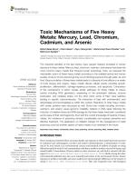Toxic Mechanisms of Five Heavy Metals: Mercury, Lead, Chromium, Cadmium, and Arsenic