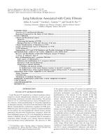 Lung Infections Associated with Cystic Fibrosis