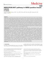 HER2/PI3K/AKT pathway in HER2-positive breast cancer: A review