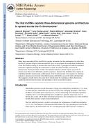 The Xist IncRNA exploits three-dimensional genome architecture to spread across the X-chromosome
