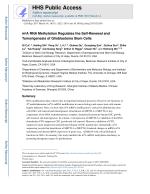 m6A RNA Methylation Regulates the Self-Renewal and Tumorigenesis of Glioblastoma Stem Cells