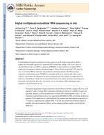 Highly multiplexed subcellular RNA sequencing in situ