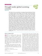 Drought under global warming: a review