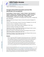 Oncogene-induced Nrf2 transcription promotes ROS detoxification and tumorigenesis