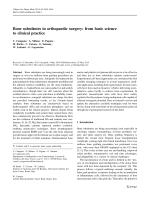 Bone substitutes in orthopaedic surgery: from basic science to clinical practice