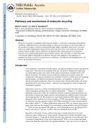 Pathways and mechanisms of endocytic recycling