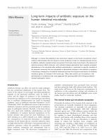 Long-term impacts of antibiotic exposure on the human intestinal microbiota