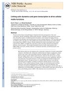 Linking actin dynamics and gene transcription to drive cellular motile functions