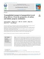 Transepithelial transport of nanoparticles in oral drug delivery: From the perspective of surface and holistic property modulation