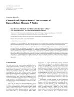 Chemical and Physicochemical Pretreatment of Lignocellulosic Biomass: A Review