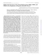 Differential Function of the Prolyl Hydroxylases PHD1, PHD2, and PHD3 in the Regulation of Hypoxia-inducible Factor