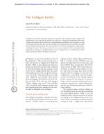 The Collagen Family
