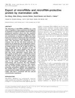 Export of microRNAs and microRNA-protective protein by mammalian cells