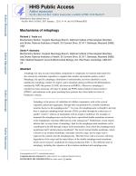 Mechanisms of mitophagy