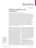 Antibiotic resistance in the environment