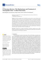 A Literature Review: The Mechanisms and Treatment of Neuropathic Pain—A Brief Discussion