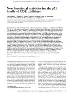 New functional activities for the p21 family of CDK inhibitors
