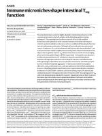 Immune microniches shape intestinal Treg function