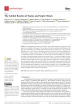 The Global Burden of Sepsis and Septic Shock