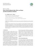 Heavy Metal Polluted Soils: Effect on Plants and Bioremediation Methods