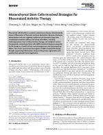 Mesenchymal Stem Cells-Involved Strategies for Rheumatoid Arthritis Therapy
