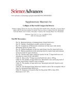 Collapse of the world’s largest herbivores