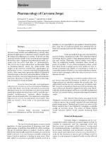 Pharmacology of Curcuma longa
