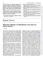 Molecular pathology of schizophrenia: more than one disease process?