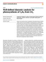 Well-defined diatomic catalysis for photosynthesis of C2H4 from CO2