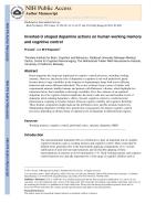 Inverted-U shaped dopamine actions on human working memory and cognitive control