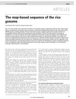 The map-based sequence of the rice genome